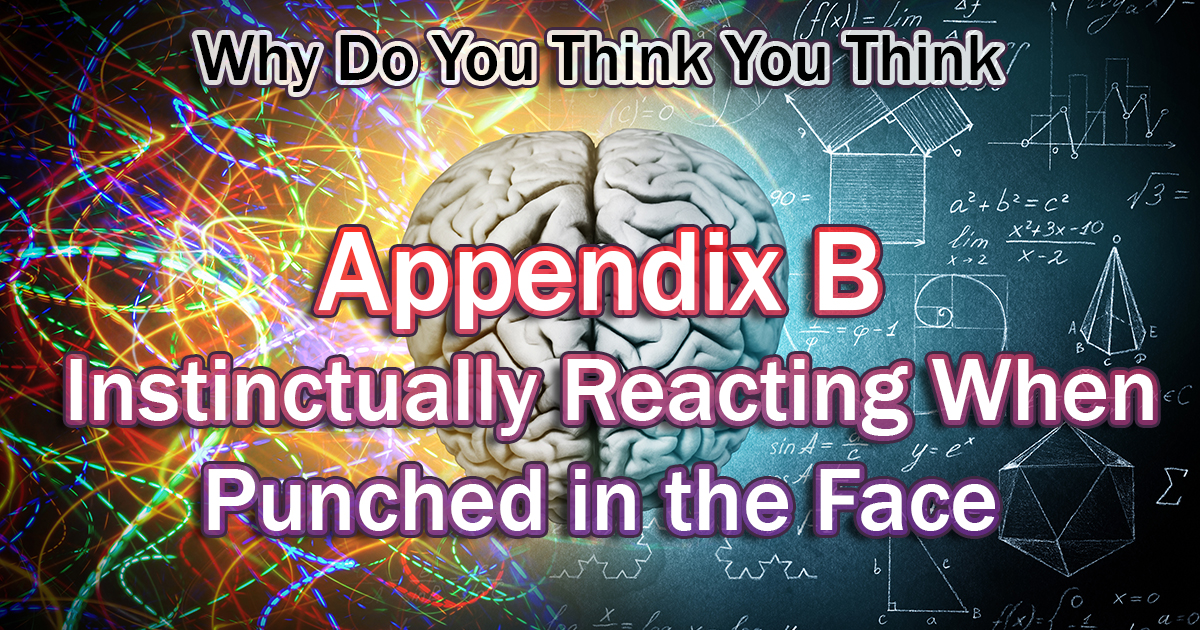 Appendix B: Instinctually Reacting When Punched in the Face