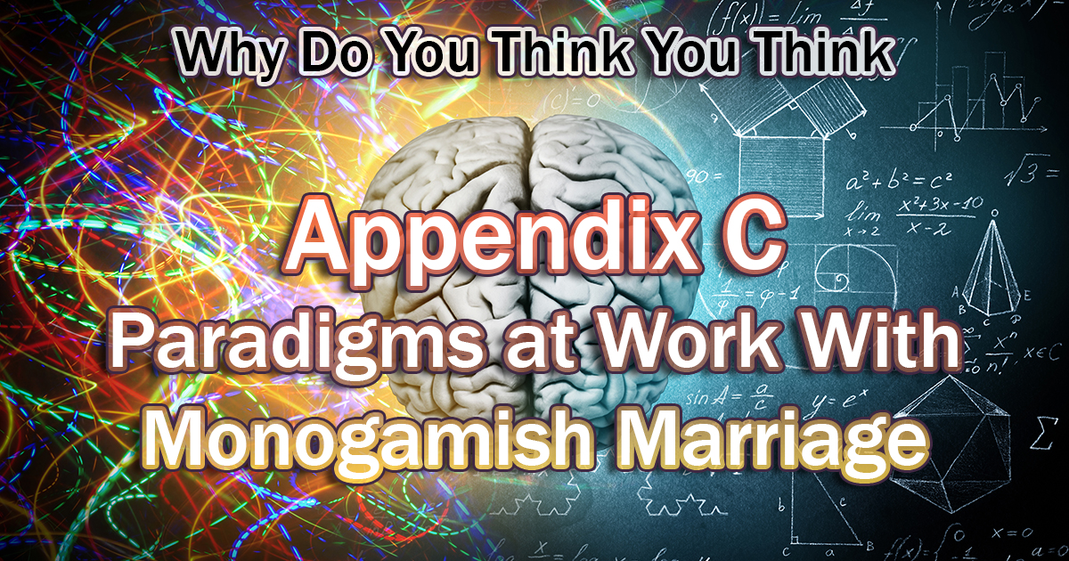 Appendix C: Paradigms at Work With Monogamish Marriage