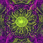 A green and purple chauk drawing of a flower.....